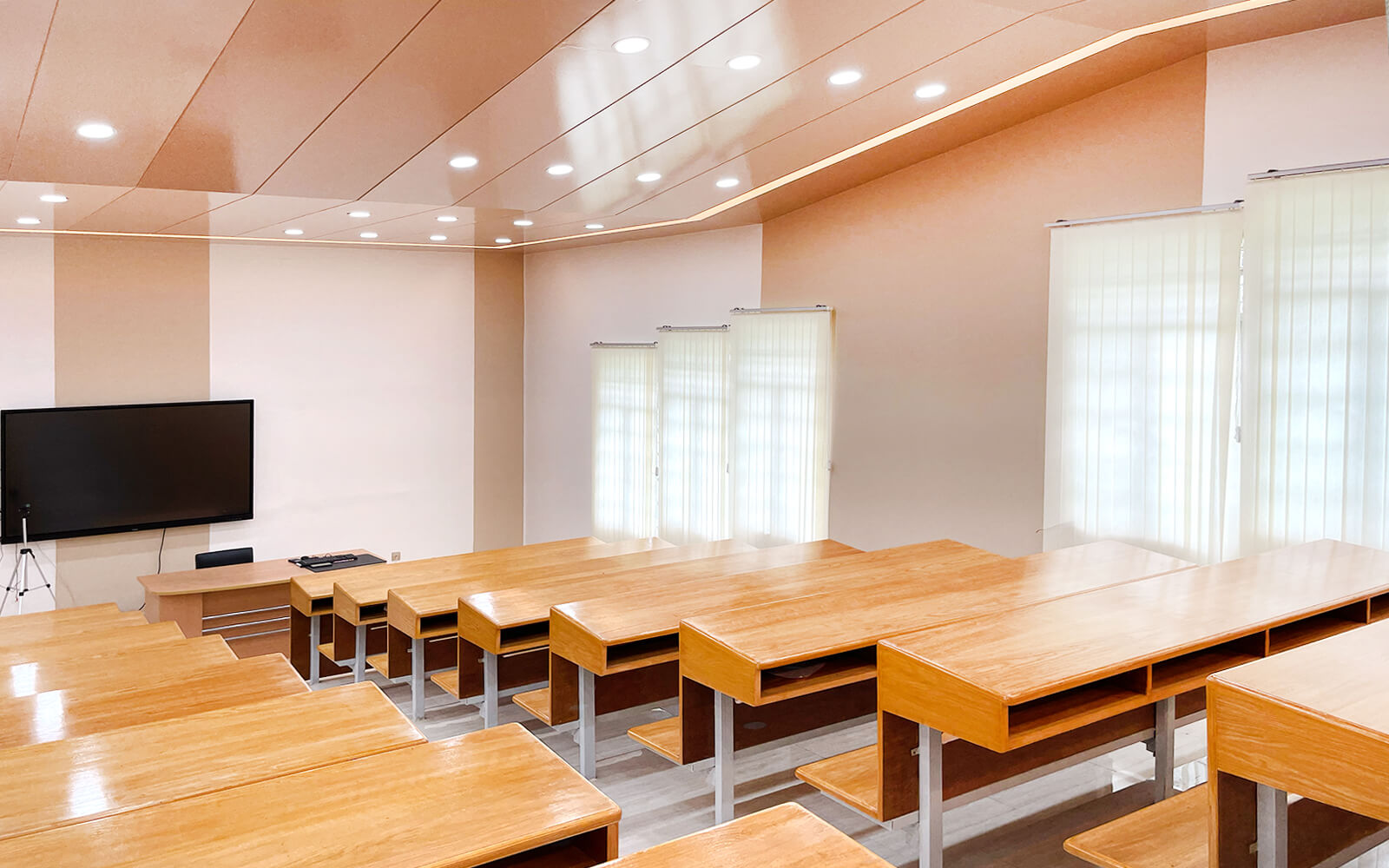 Institutional Development